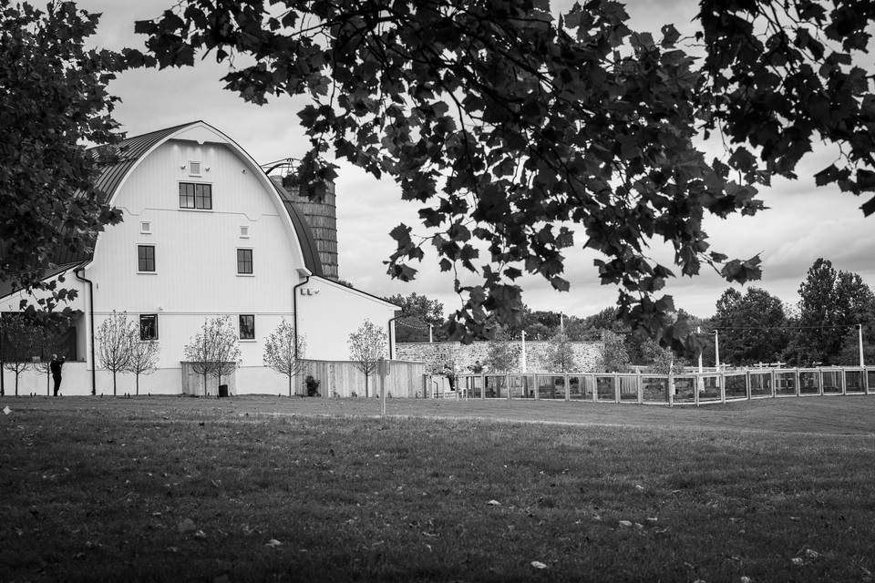 The Barn