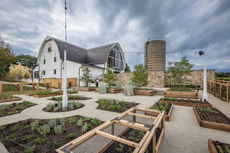 Kitchen Garden