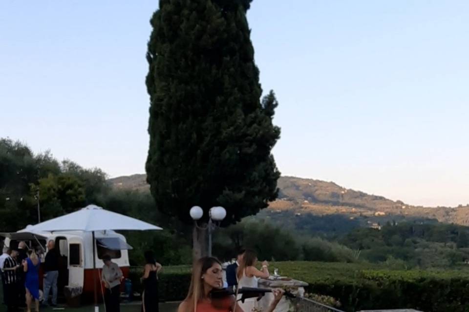 ZAK'S - Violin&DJ