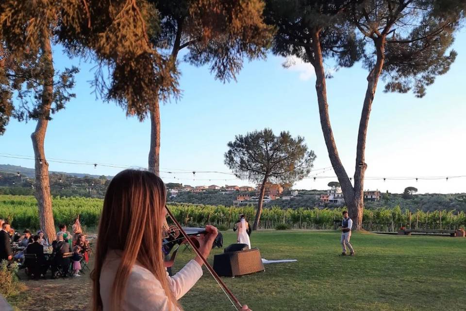 ZAK'S - Violin&DJ