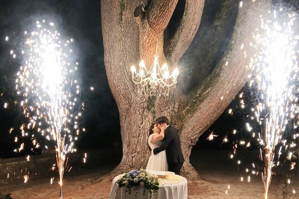 ZAK'S - Violin&DJ