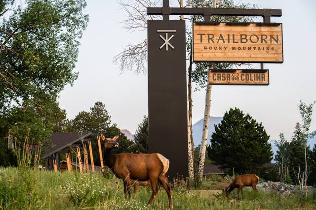 Entrance to TRM
