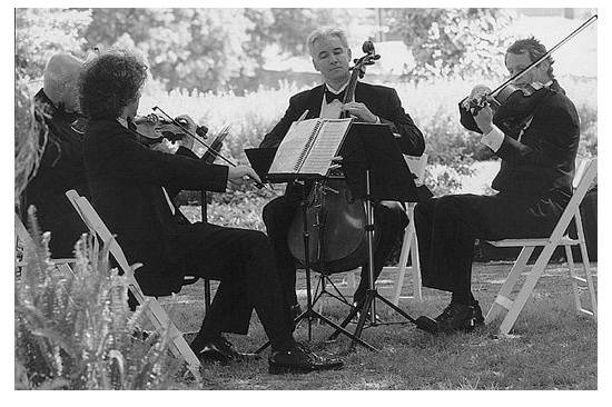 Gyros String Quartet
