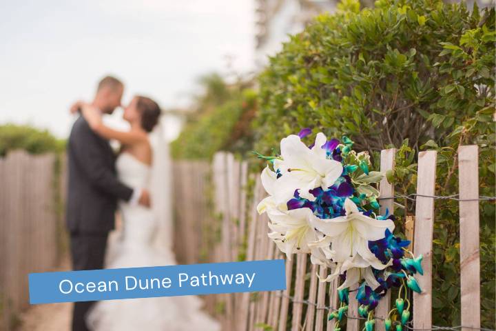 Ocean Dune Pathway