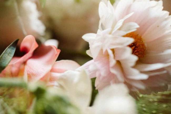 Close up of bridal blooms