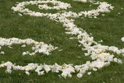 Petals on the floor