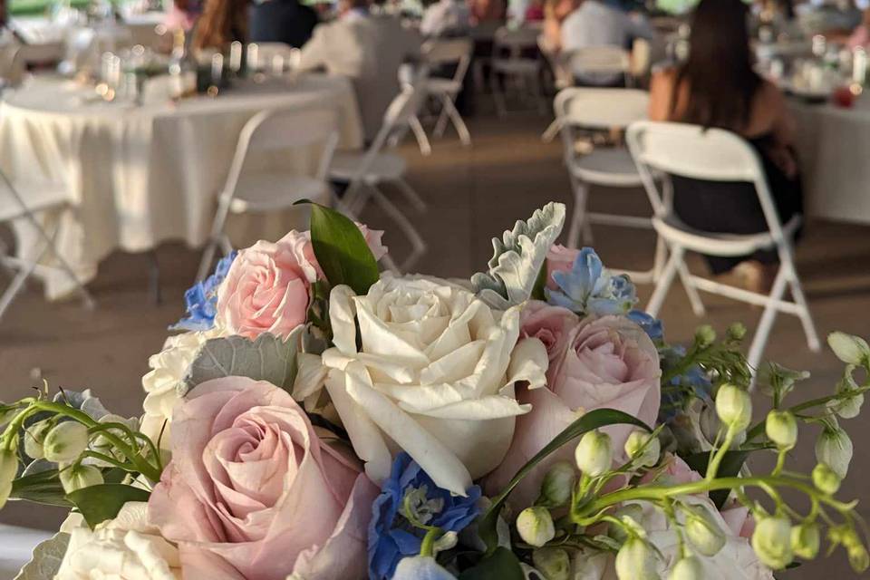 Garden Patio Reception