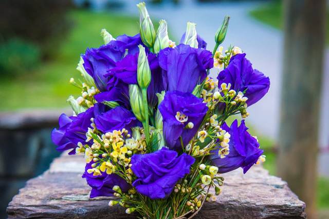 Floral Design