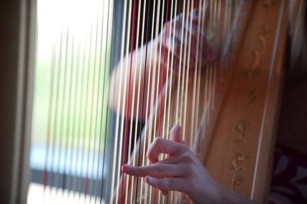 Cara Fleck, Maryland harpist