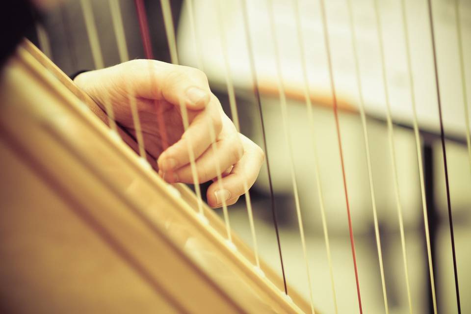 Cara Fleck, Maryland harpist