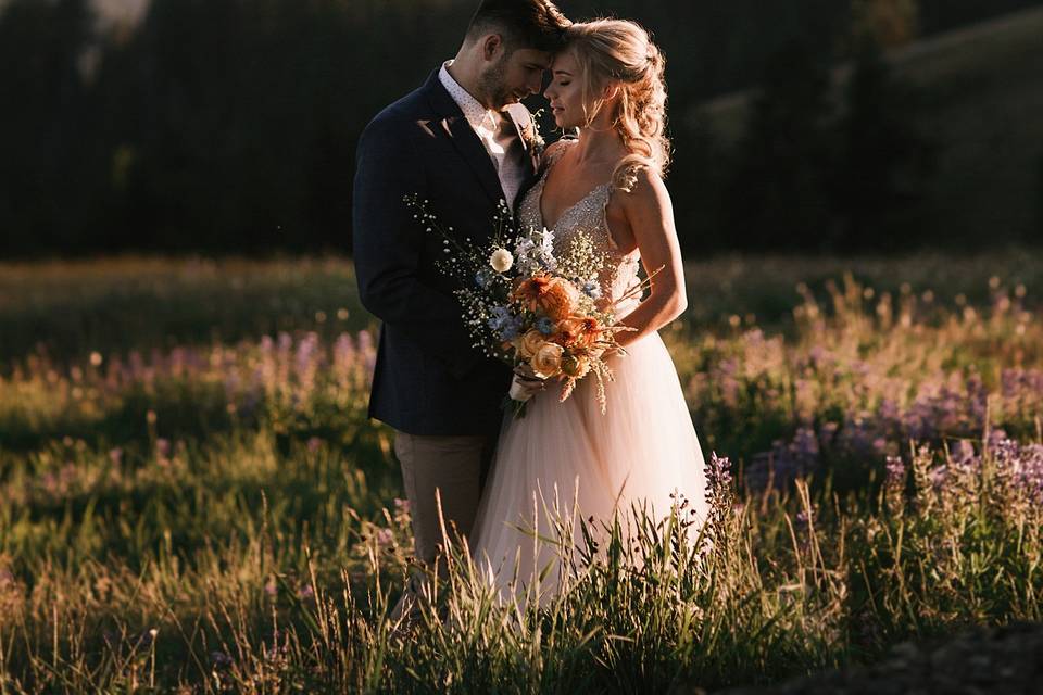 Hurricane Ridge elopement