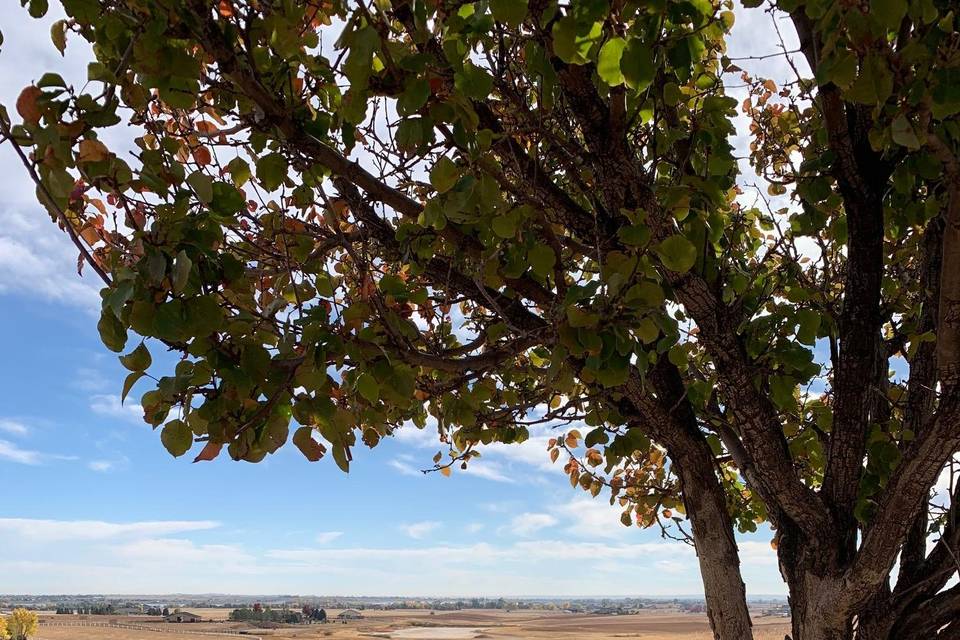 View of the countryside