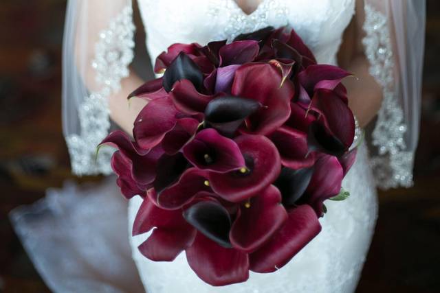 Deep red florals
