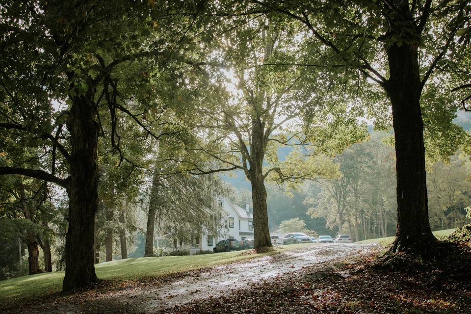 Fall time is perfect