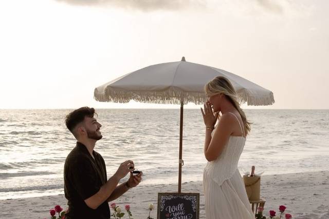 Proposal