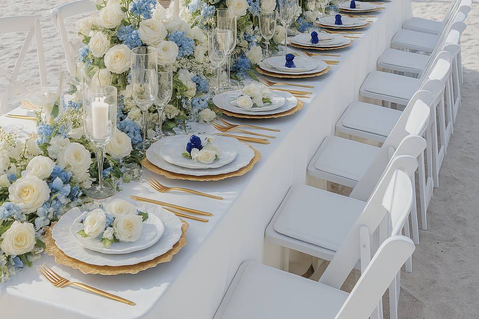 Blue & White Reception
