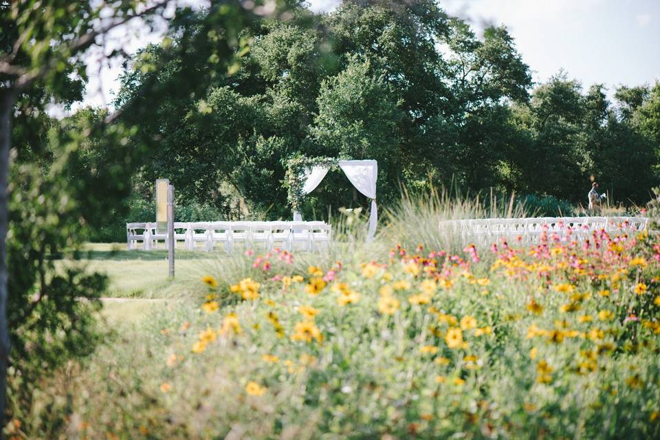 Plant a Wildflower Meadow - Lady Bird Johnson Wildflower Center