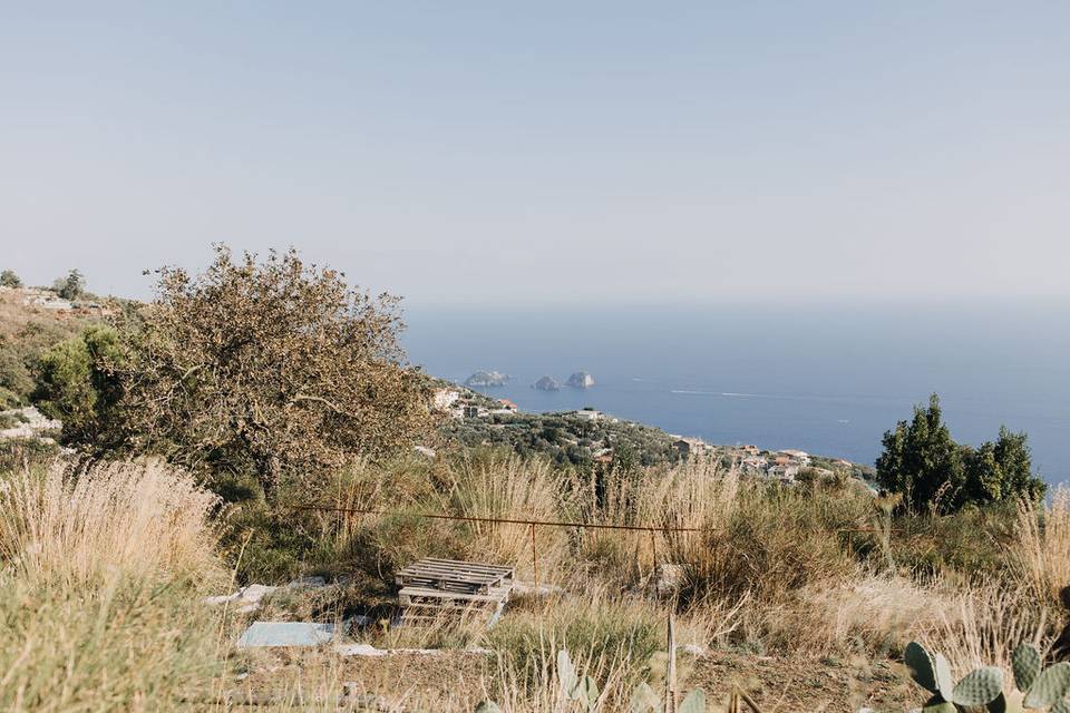 Area cerimonia