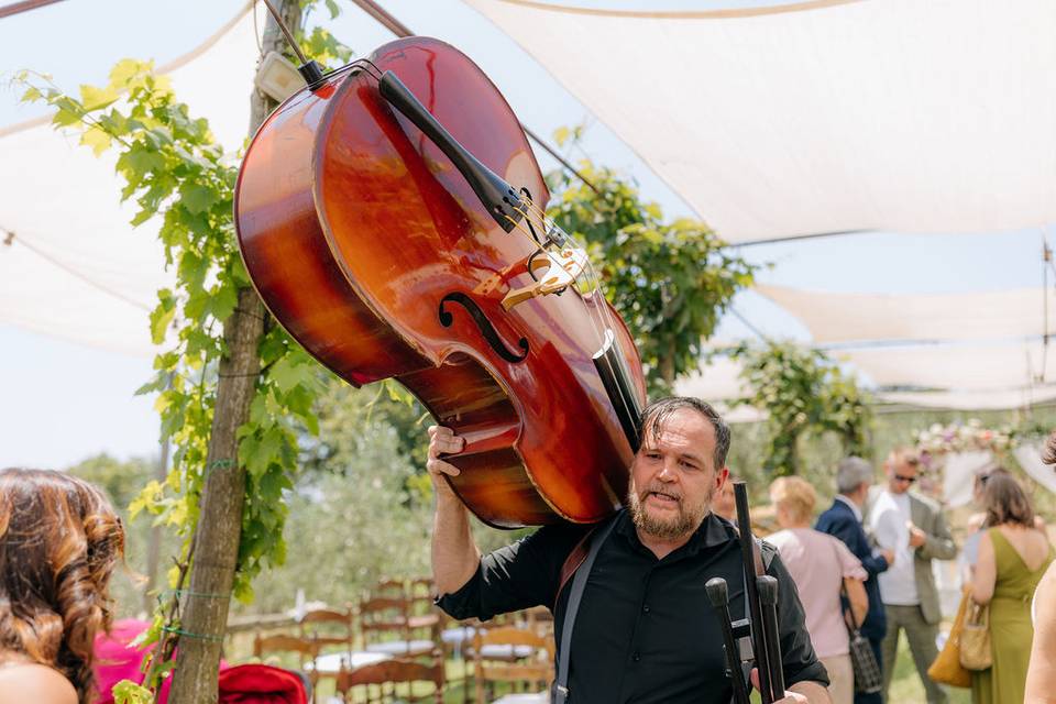 Music live