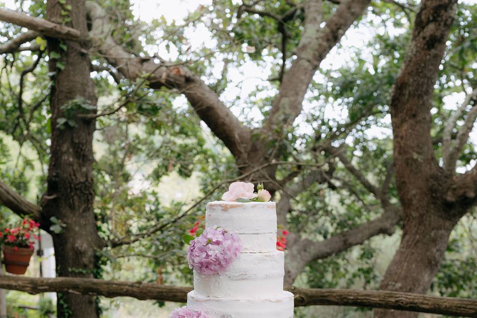 Cake