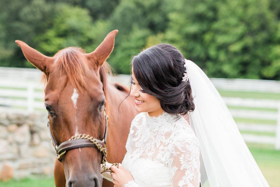 Bride Horse Shot