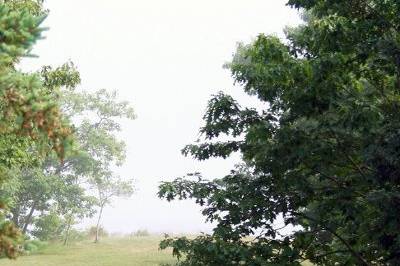 A Maine Wedding