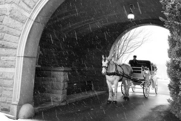 Winter Wedding