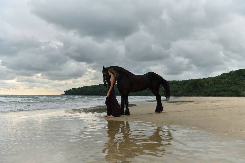 Siari a Ritz Carlton Reserve