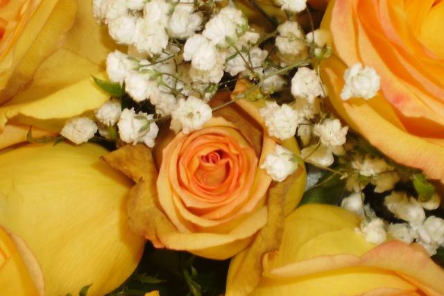 LoveSong Weddings