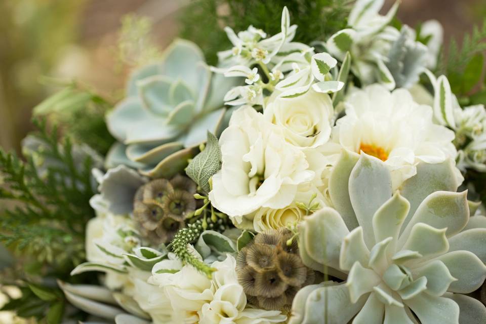 Rebecca Rollins Floral Design