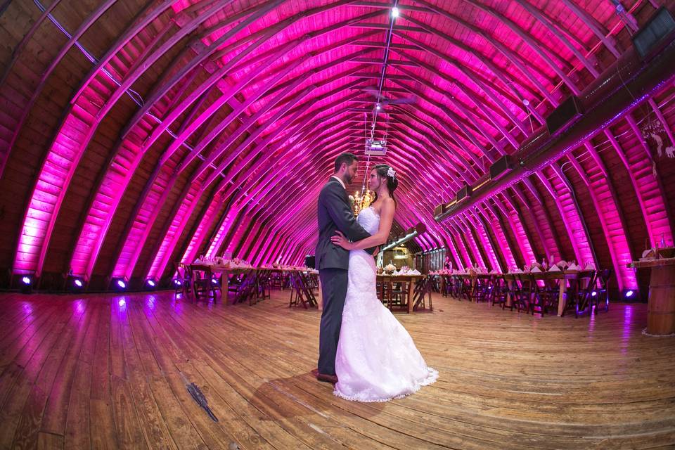 Marquee Photo Video