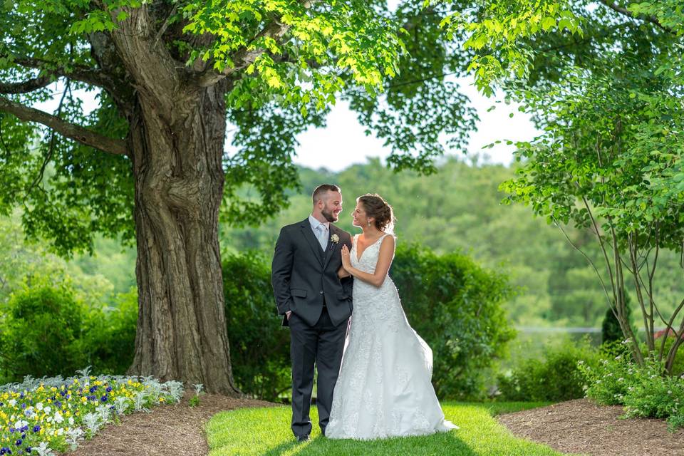 Marquee Photo Video