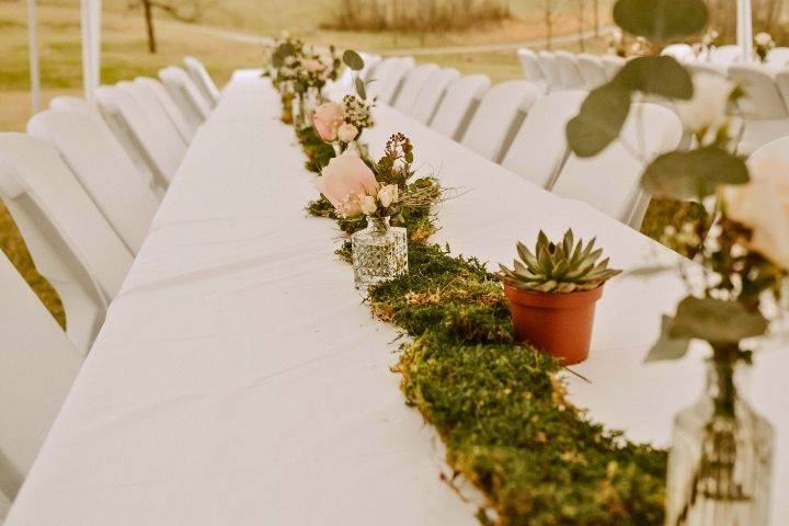 Dining setup in great lawn