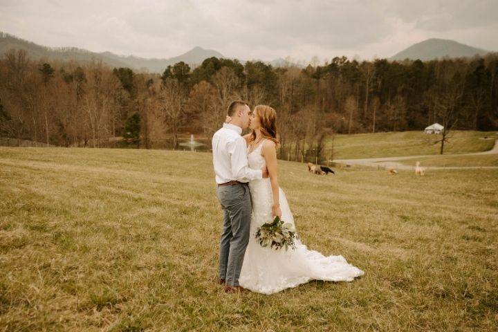 Portraits in the pasture