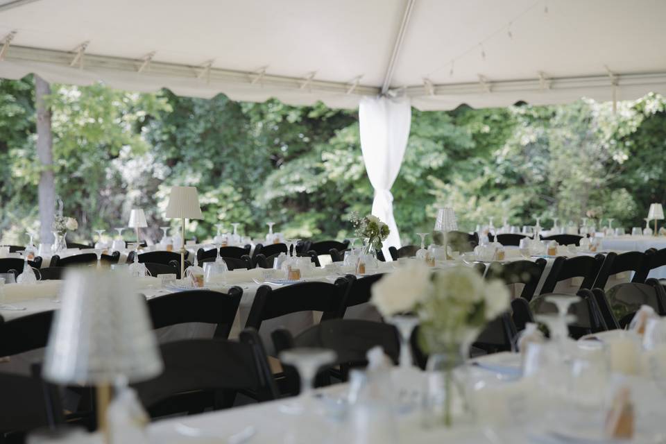 Tablecape among the trees