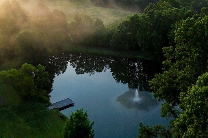 Pond