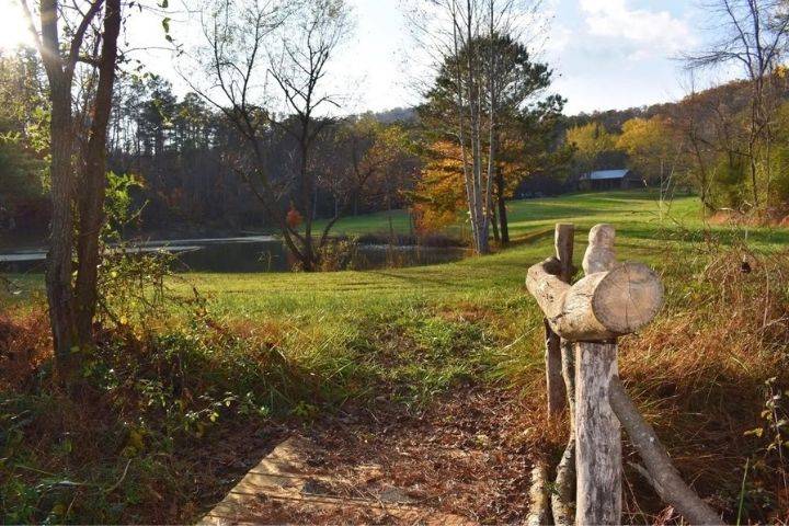 Welcome to fall on the estate