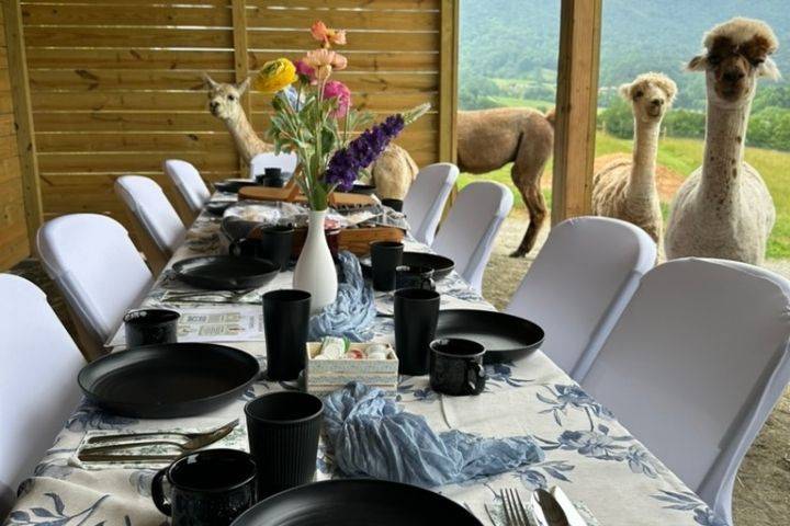 Brunch setup