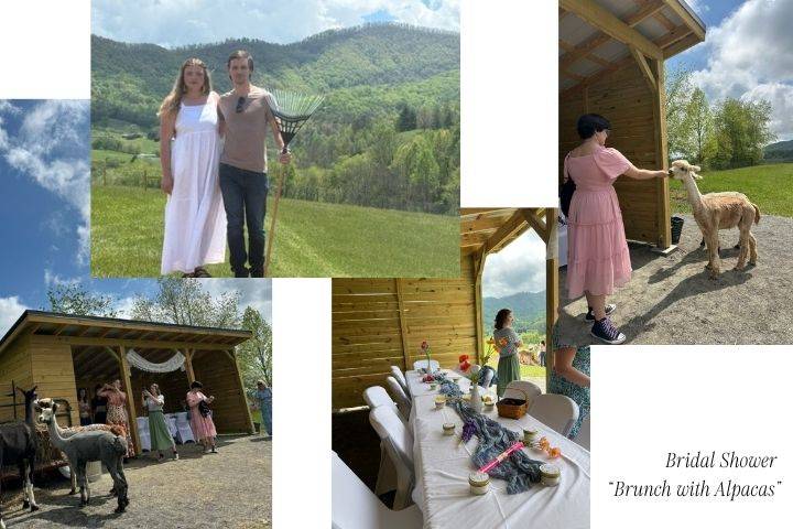 Bridal Shower for 14