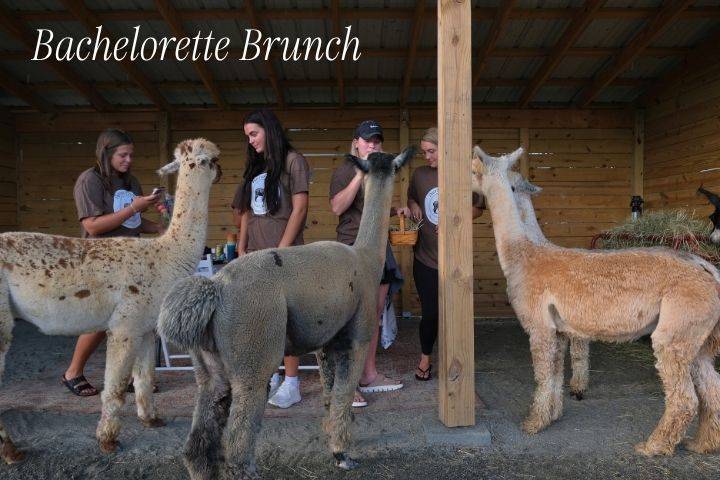 Bachelorette Brunch with Alpac