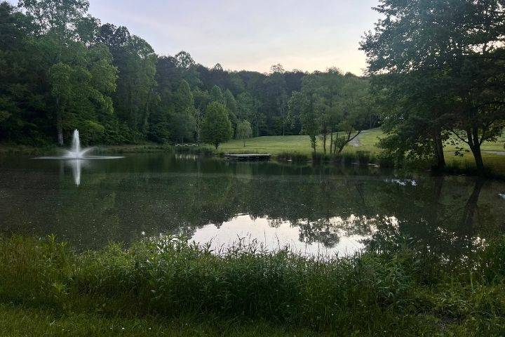Evening behind the pond