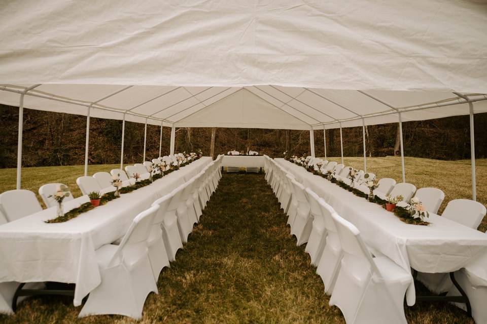 Tent Setup on the Lawn
