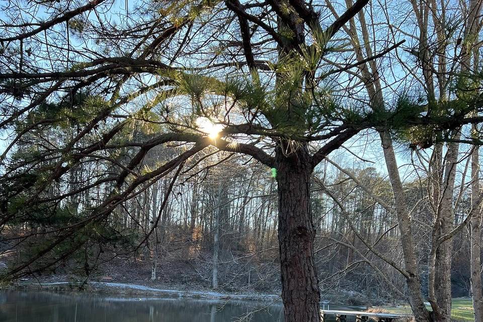 Winter view of the pond