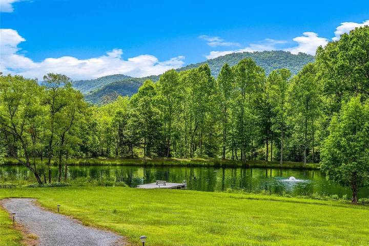 Pathway to pond