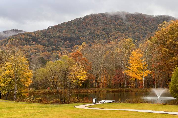 Fall Foliage