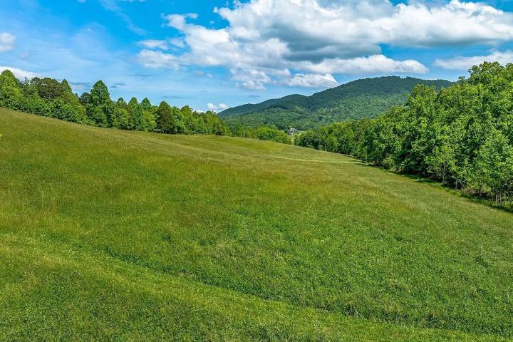 Rolling pasture