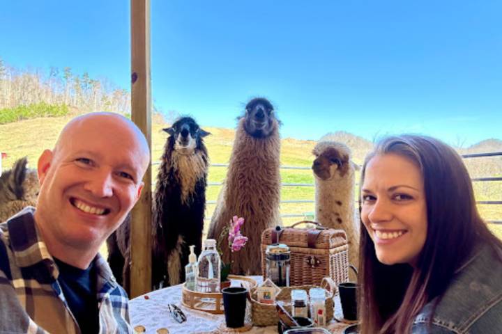 Llama Selfie!