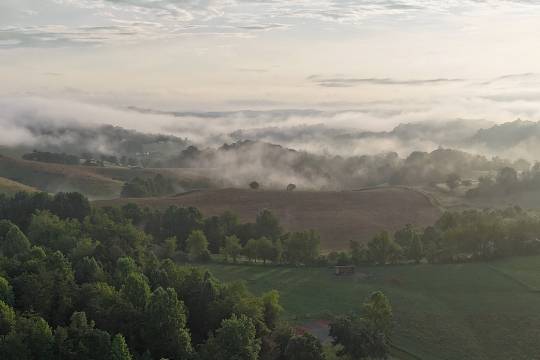 Sunrise over pasture