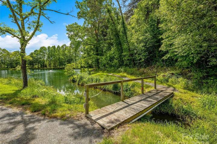 Bridge by the pond
