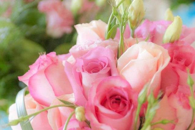 Sweet pink roses